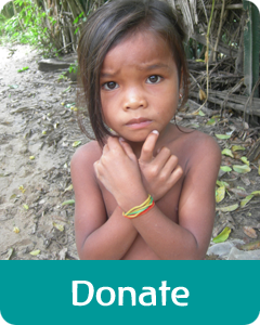 donate button